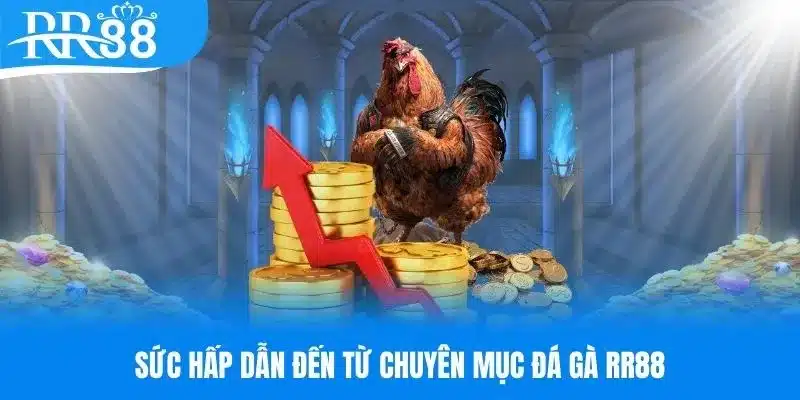 Ưu điểm làm nên thành công cho chuyên mục đá gà RR88&nbsp;